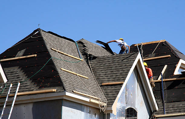 Best Metal Roofing Installation  in Robbins, IL